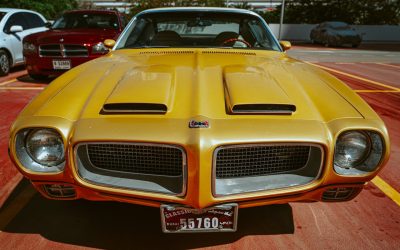 Website for all Firebird Fanatics launches